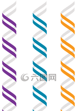 z-dna,左手的双螺旋,备用几何图形