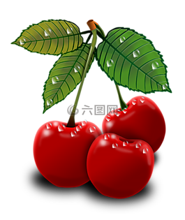 櫻桃,水果,漿果