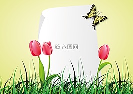 春天,郁金香,蝴蝶