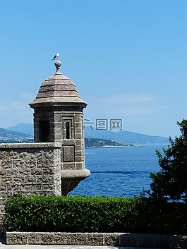炮塔,石,海鷗