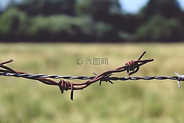 鐵絲網(wǎng),籬笆,金屬