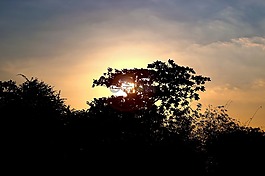 日落,日出,太陽