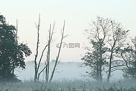 霧,波蘭,早上