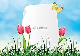 春天,郁金香,蝴蝶