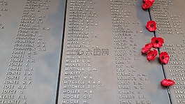 紀念館,戰(zhàn)爭,罌粟