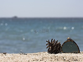 夏季,太陽,海