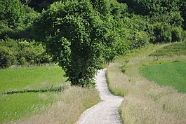 離,性質(zhì),巷
