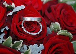結(jié)婚戒指,環(huán),婚禮