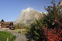 公路,山,農(nóng)家