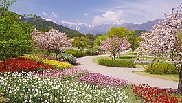 阿爾卑斯山,安曇野,公園