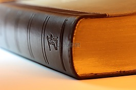 書,圣經(jīng),紙張