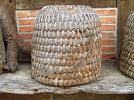 蜂巢,柳條,老