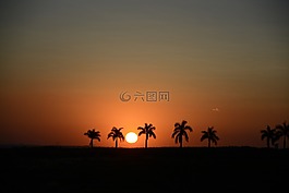 日落,剪影,地平線