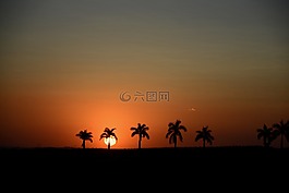 日落,剪影,地平線