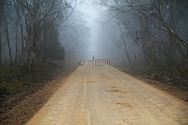 霧,薄霧,路