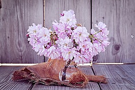 鮮花,櫻花,分支機(jī)構(gòu)