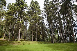 中國(guó),云南,大姚