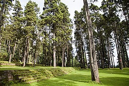 中國(guó),云南,大姚