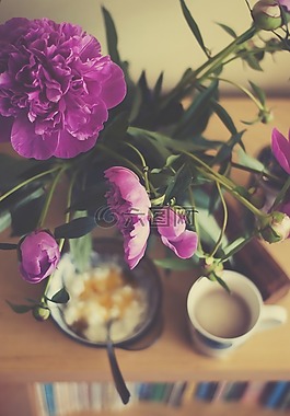 牡丹,花束,鮮花