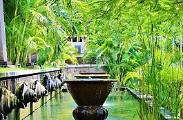 巴厘島,烏布,噴泉