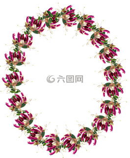 幀,邊境,金銀花