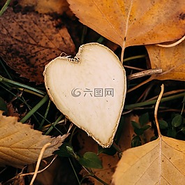 姜,心,木材