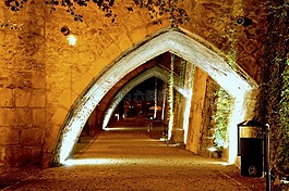 veit stoss 橋,klodzko,橋
