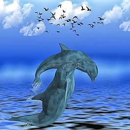 海豚,海,meeresbewohner