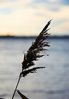 湖,水,性質(zhì)