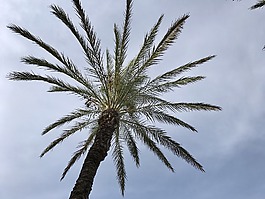 伊維薩,西班牙,巴利阿里群島