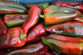 辣椒粉,胡椒,vegitable