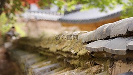 一年的問候,寺,光洋