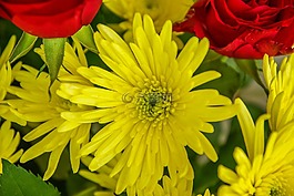 花束,鮮花,玫瑰