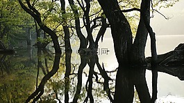 主要生產(chǎn),wangbeodeul,反映