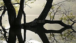 主要生產(chǎn),wangbeodeul,反映