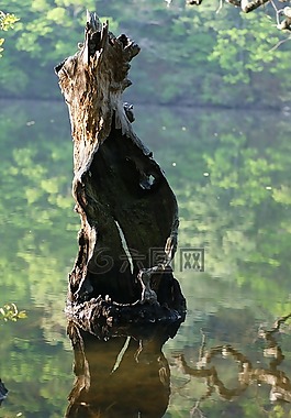 主要生產(chǎn),wangbeodeul,反映
