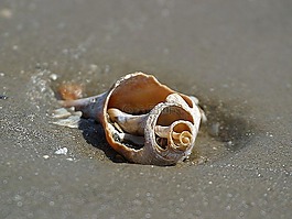 海灘,海洋,沙