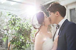 這對夫婦,夫婦,婚姻