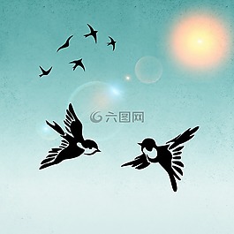 鳥類,鳥,對