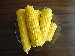 甜蜜的玉米,作物