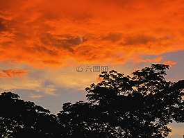 橙色,光明,日落