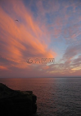 日落,海洋,水