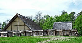 凱爾特人,體系結(jié)構(gòu),屋頂