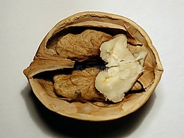 水果,螺母,核桃