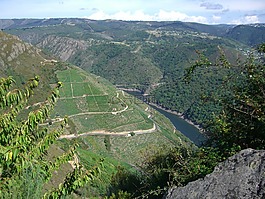 里貝拉出來,河,景觀