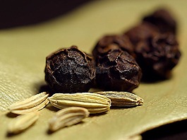 茴香,玉米,胡椒