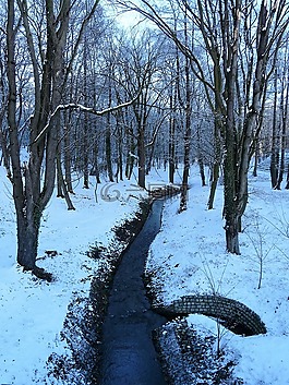 冬季,雪,公園