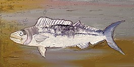 化石,魚,meeresbewohner
