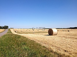 夏天,收獲,原野