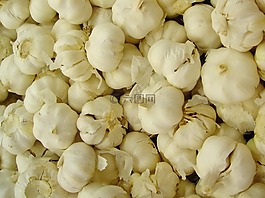 大蒜,白,蔬菜